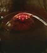 Filename=0910.jpg
Filesize=60KiB
Dimensions=1920x800
Date added=Sep 12, 2021 0910.jpg