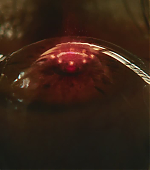 Filename=0911.jpg
Filesize=59KiB
Dimensions=1920x800
Date added=Sep 12, 2021 0911.jpg